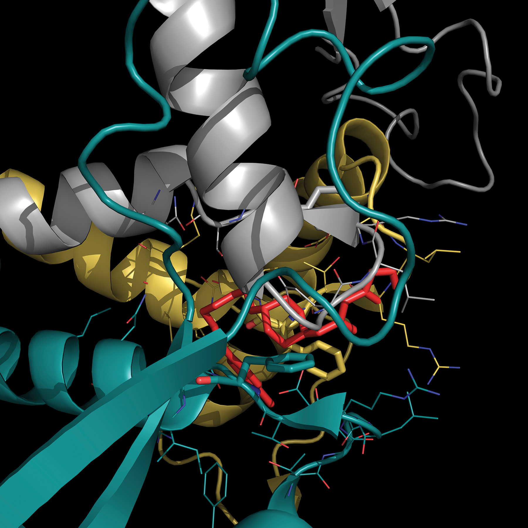 Visualization of the Ebloa GP protein