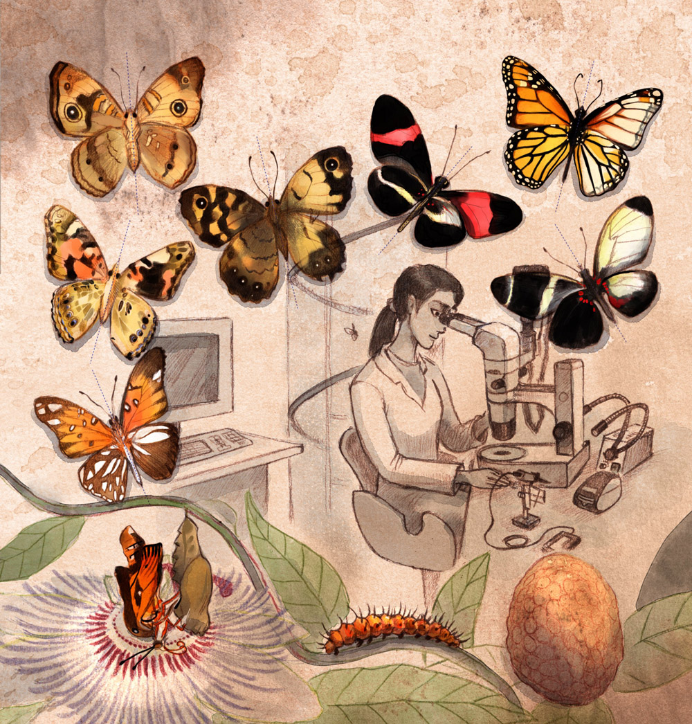 Illustration of scientist and butterflies